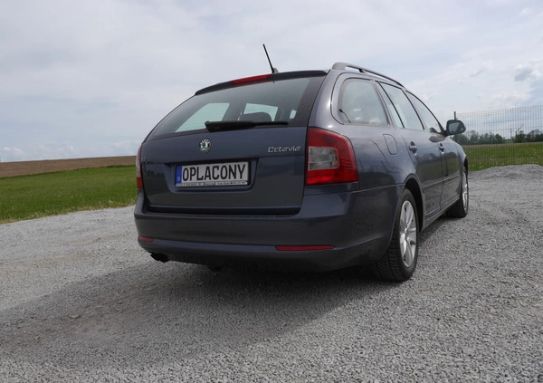 Skoda Octavia cena 24800 przebieg: 281485, rok produkcji 2011 z Ciechanów małe 277